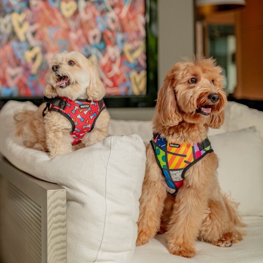 Britto Pet Products